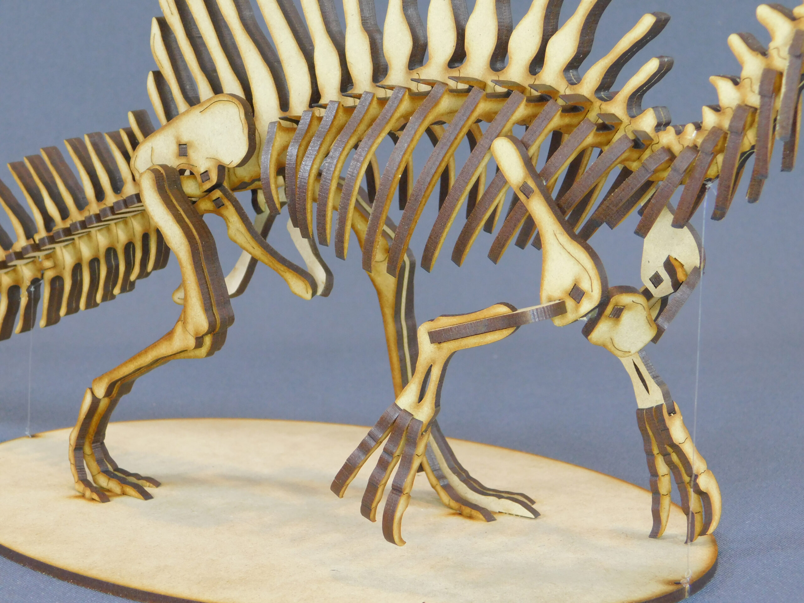 Spinosaurus aegyptiacus Escala 1:20 - Imagen 5