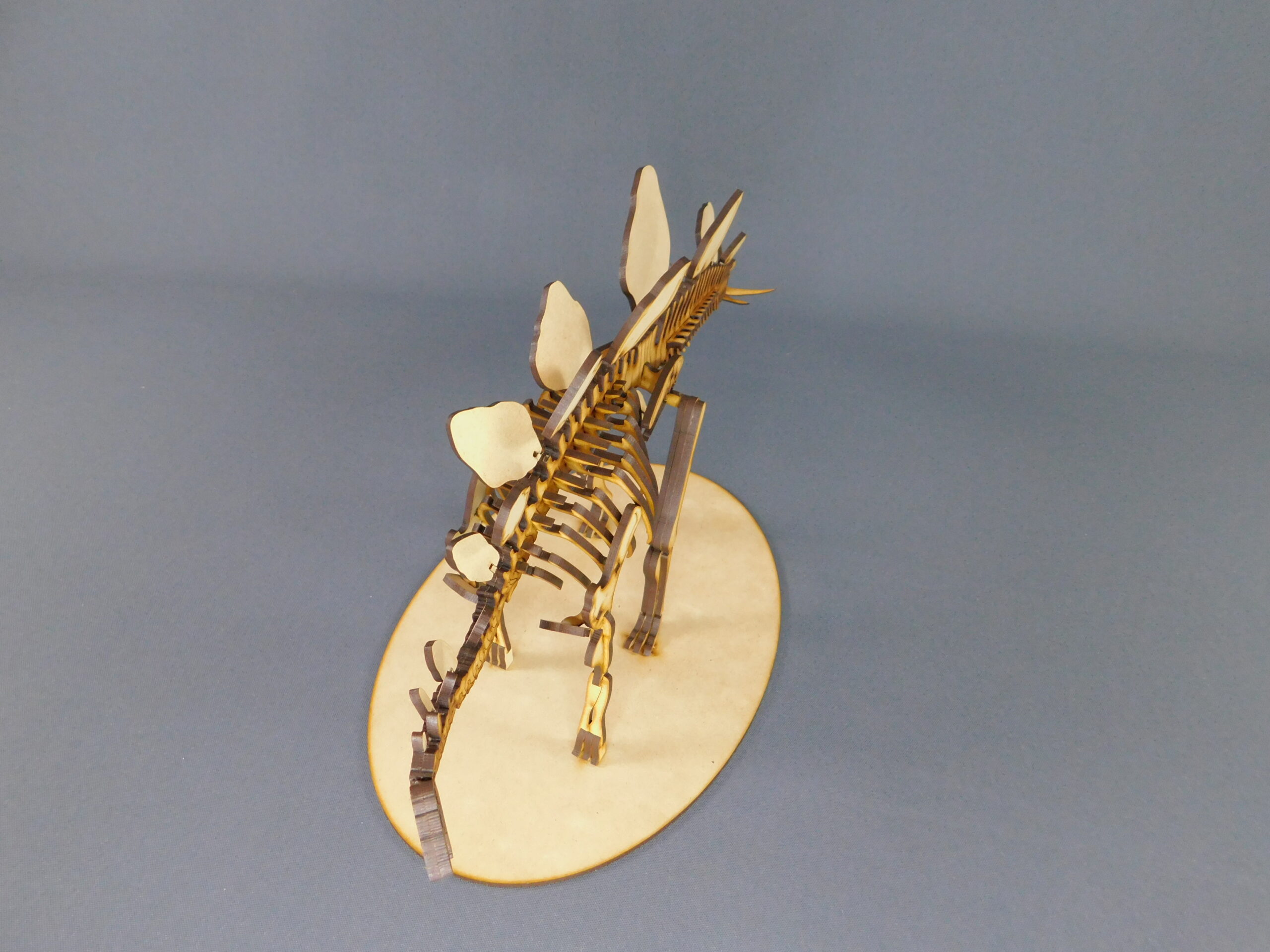 Stegosaurus ungulatus Escala 1:20 - Imagen 5