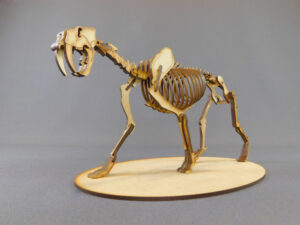 Smilodon populator Escala 1:8