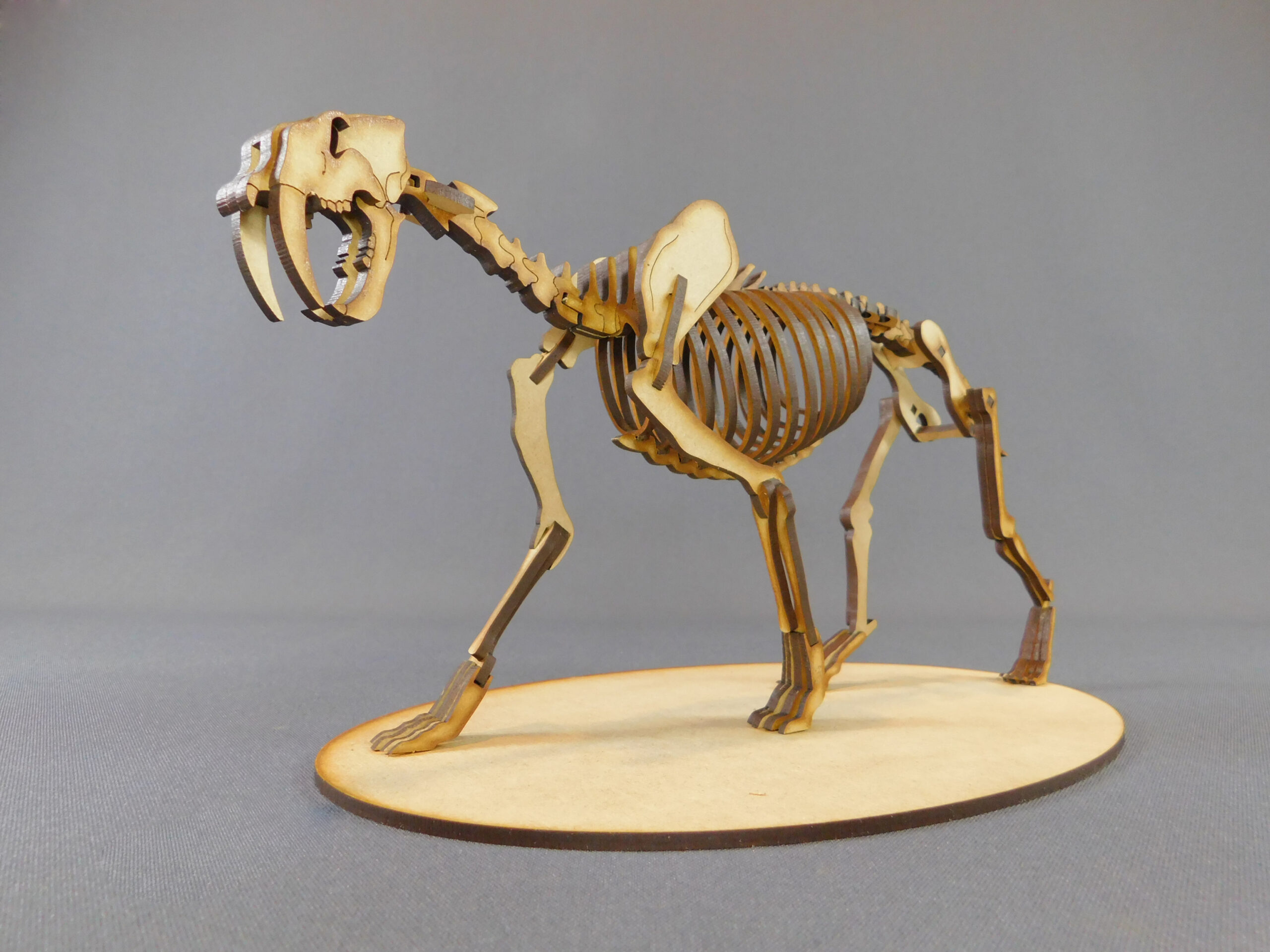 Smilodon populator Escala 1:8