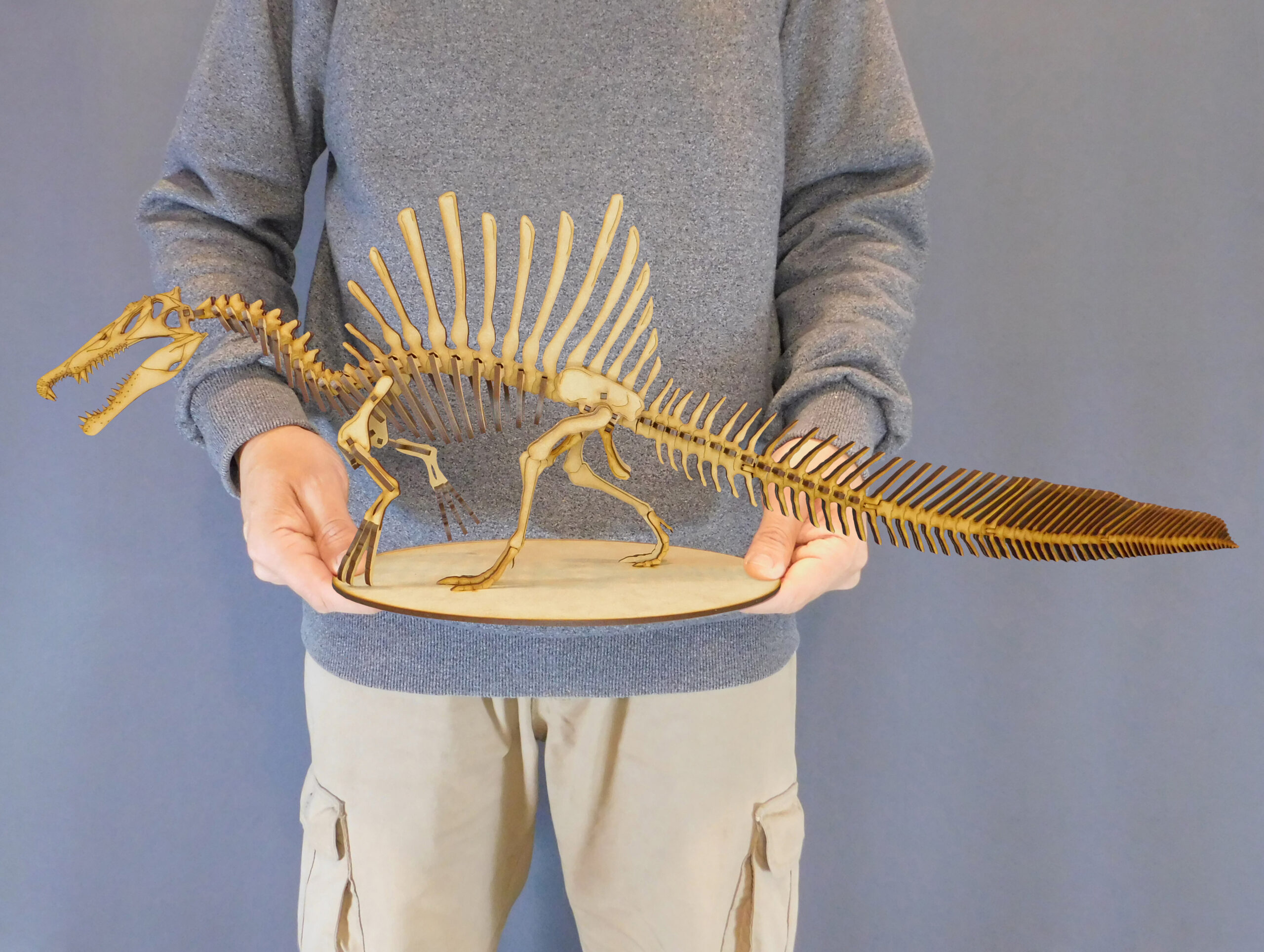 Spinosaurus aegyptiacus Escala 1:20 - Imagen 6