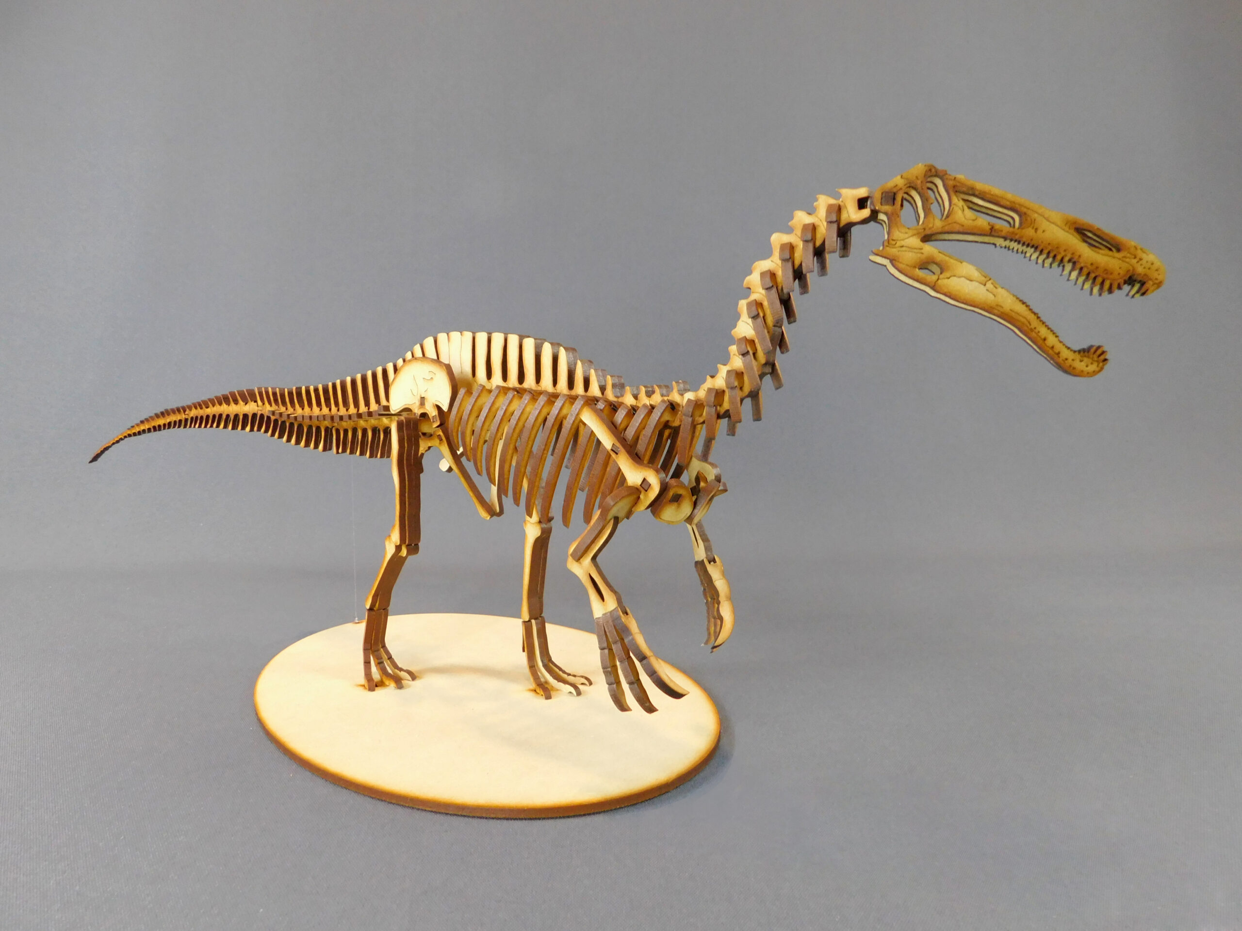 Suchomimus tenerensis Escala 1:20 - Imagen 4