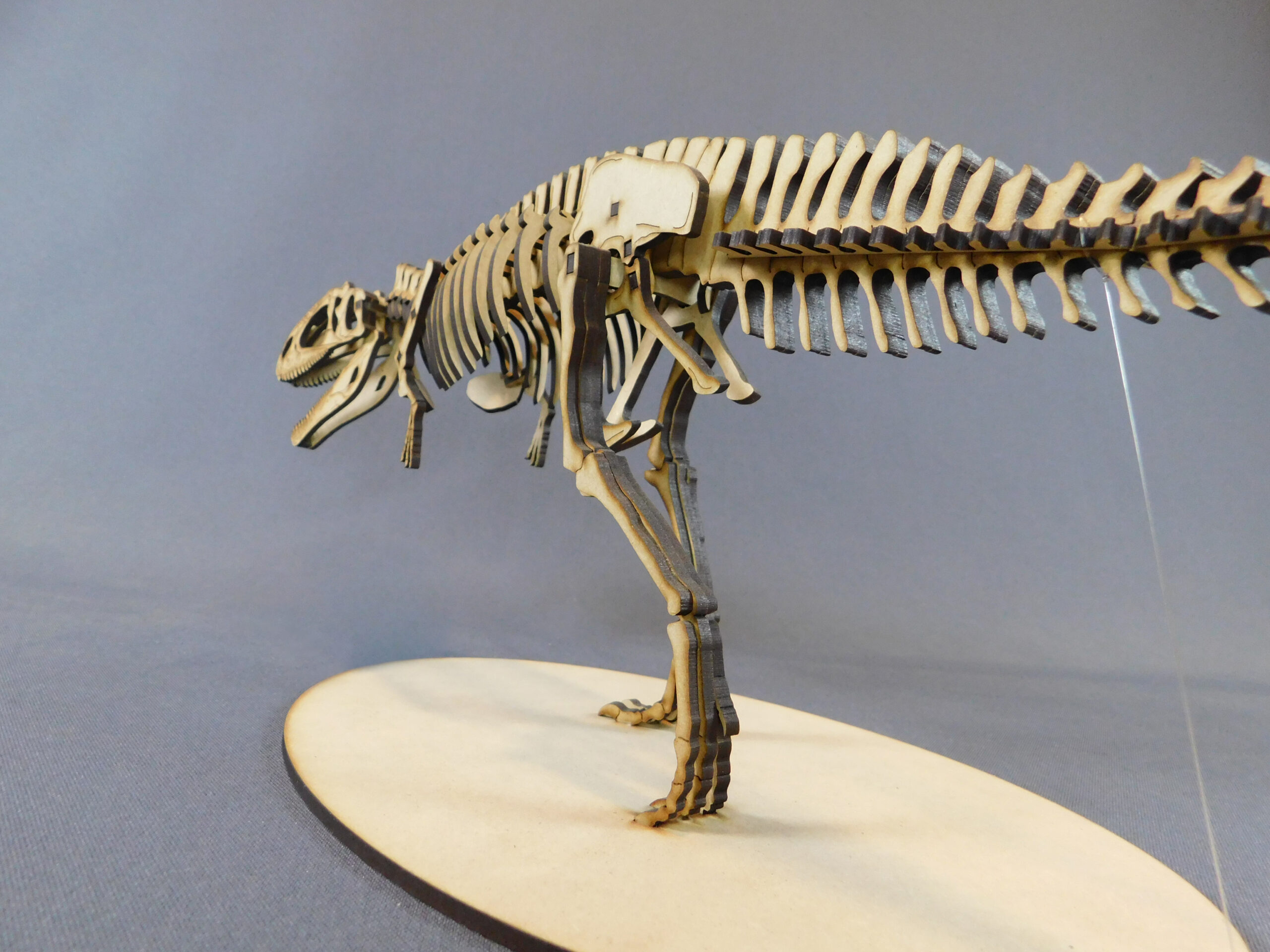 Taurovenator violantei Escala 1:20 - Imagen 5