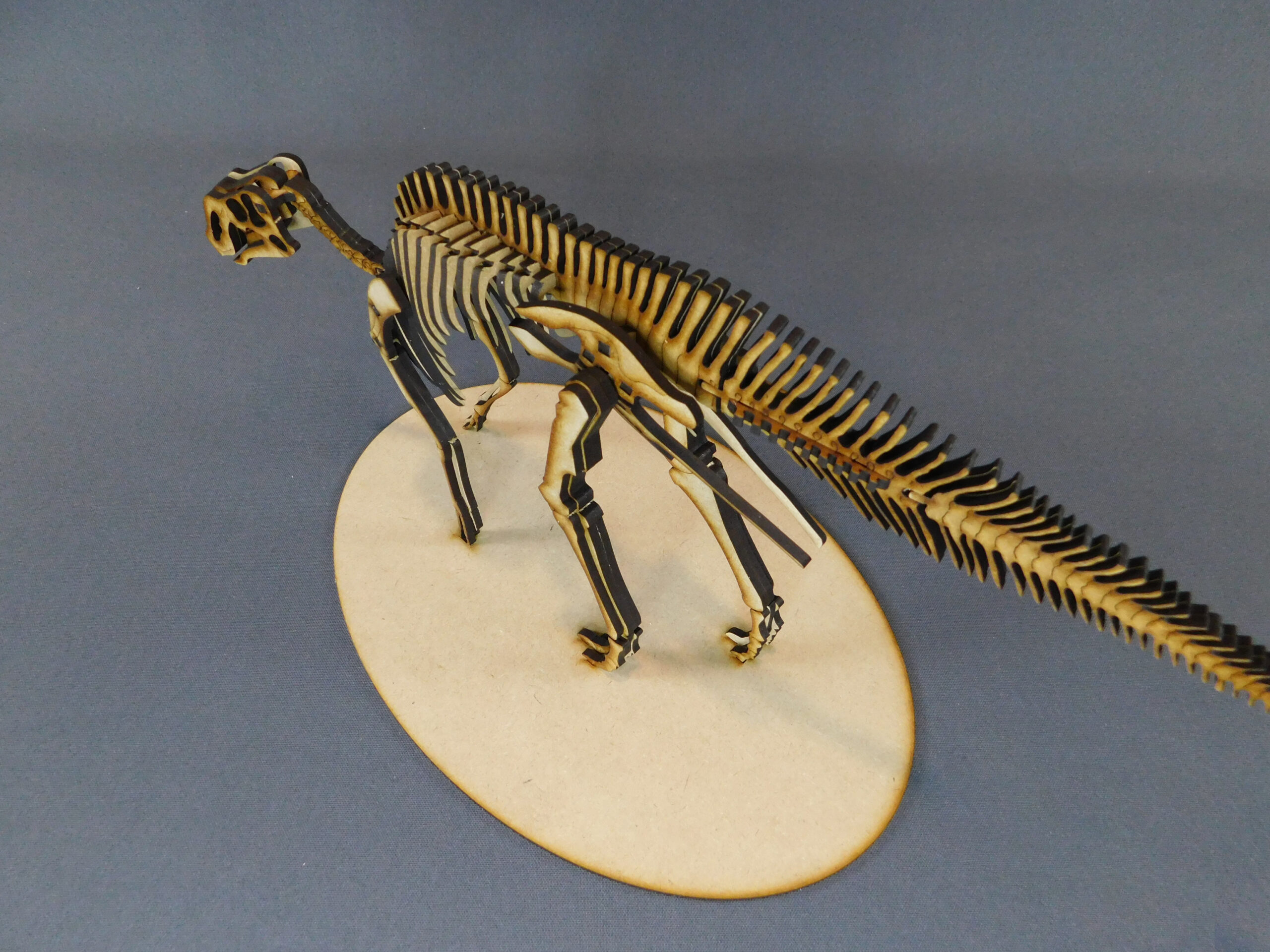 Huallasaurus australis Escala 1:15 - Imagen 5