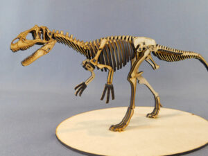 Allosaurus fragilis Escala 1:20