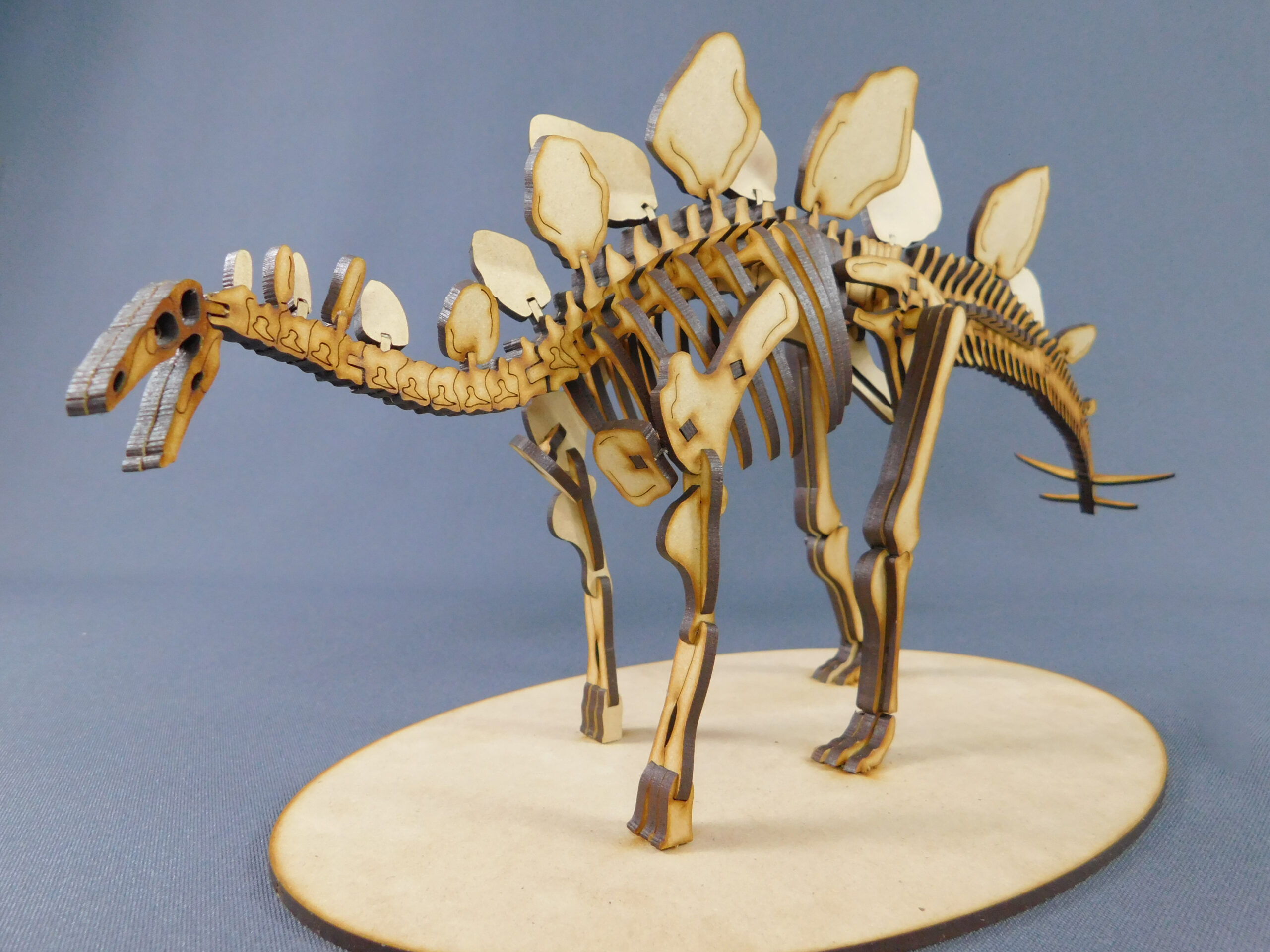 Stegosaurus ungulatus Escala 1:20
