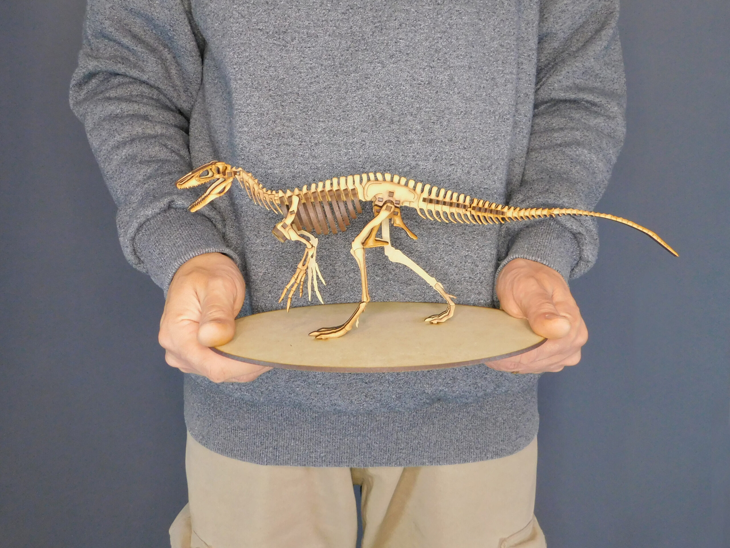 Megaraptor namunhuaiquii Escala 1:20 - Imagen 6