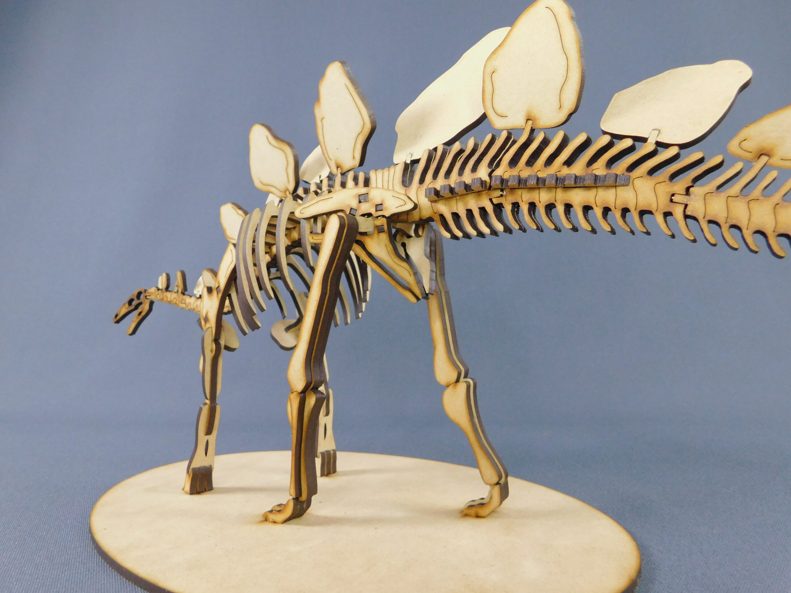 Stegosaurus ungulatus Escala 1:20 - Imagen 7
