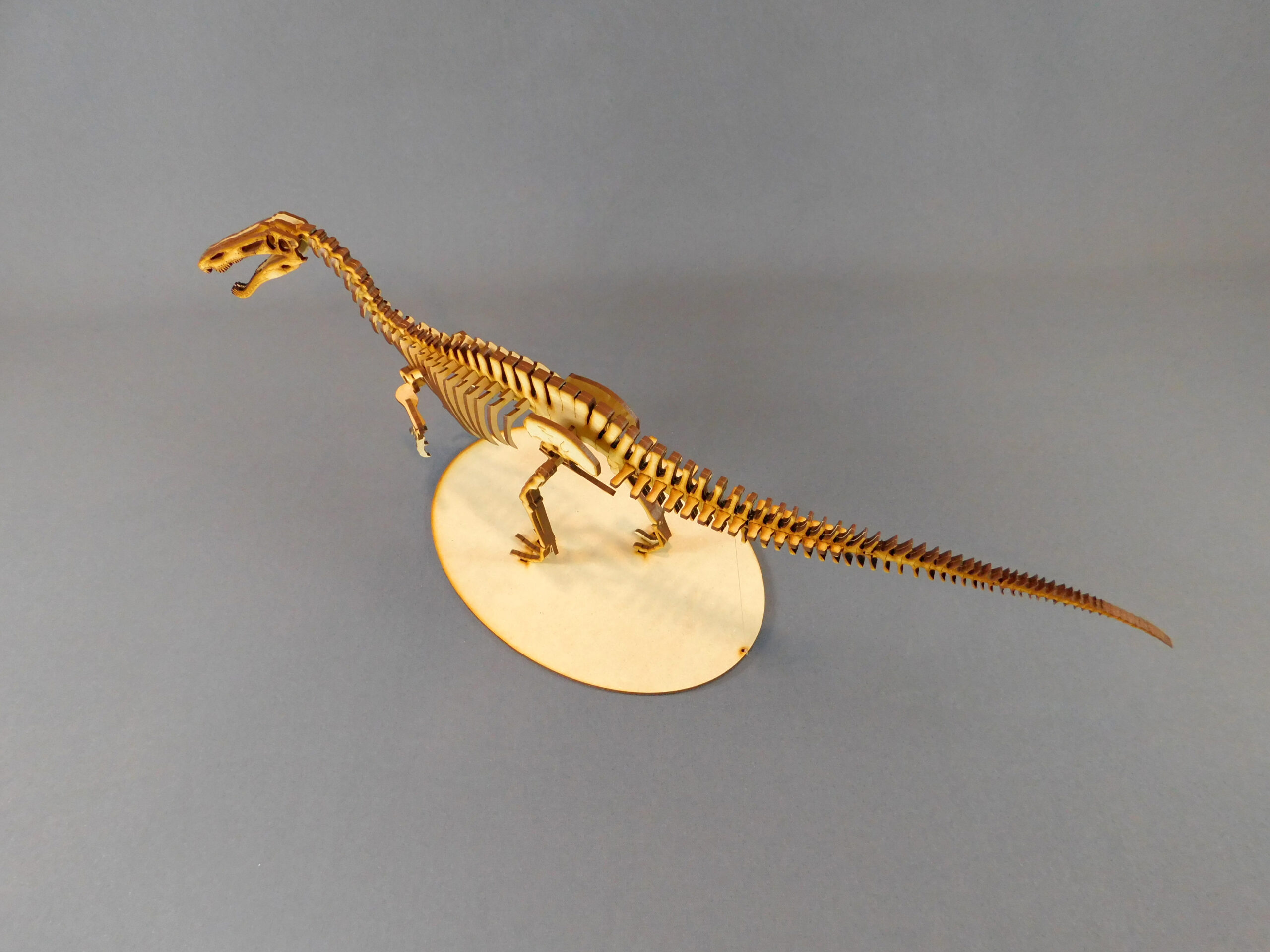 Suchomimus tenerensis Escala 1:20 - Imagen 5