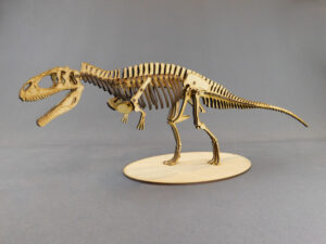 Taurovenator violantei Escala 1:20