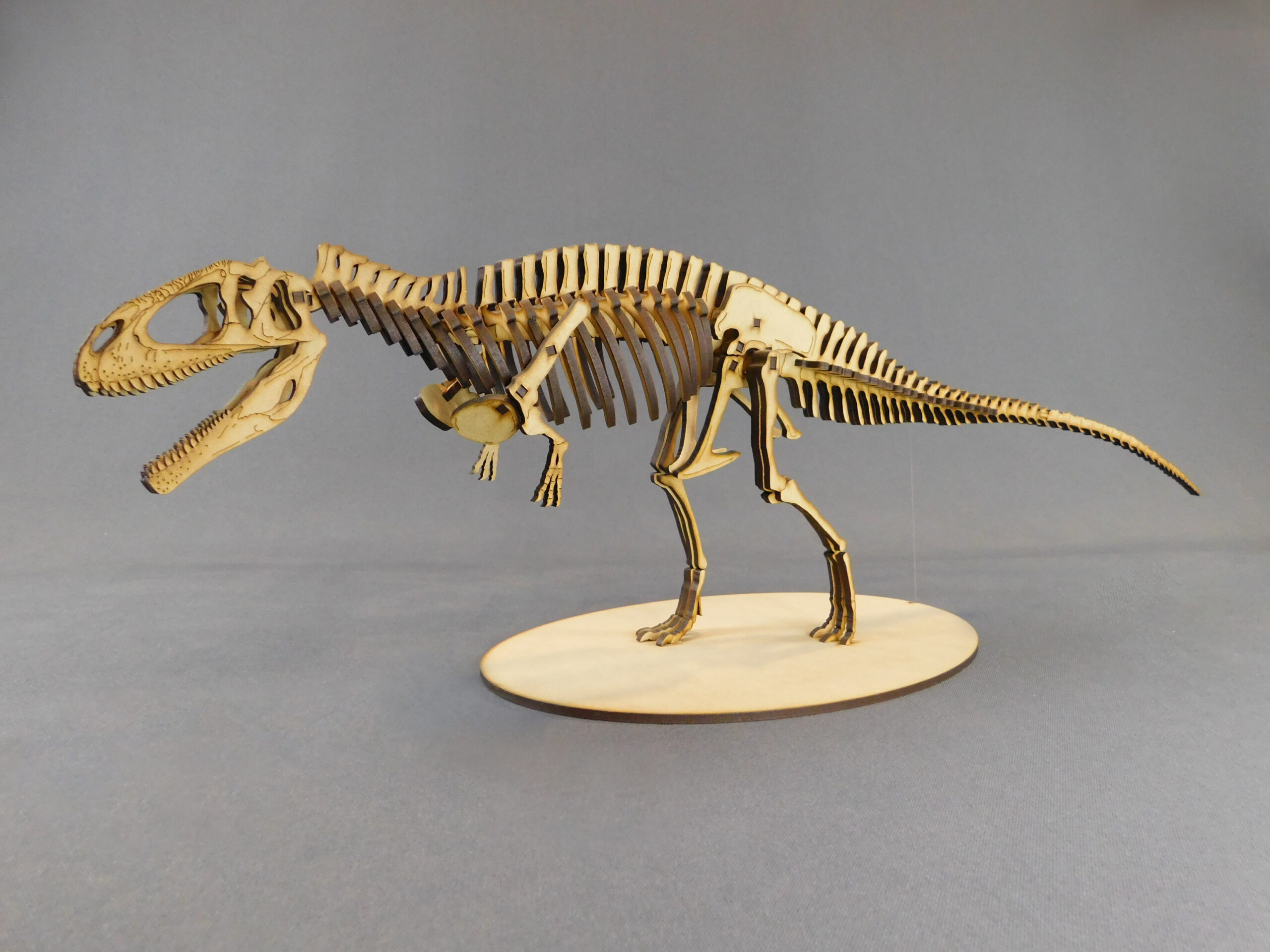 Taurovenator violantei Escala 1:20