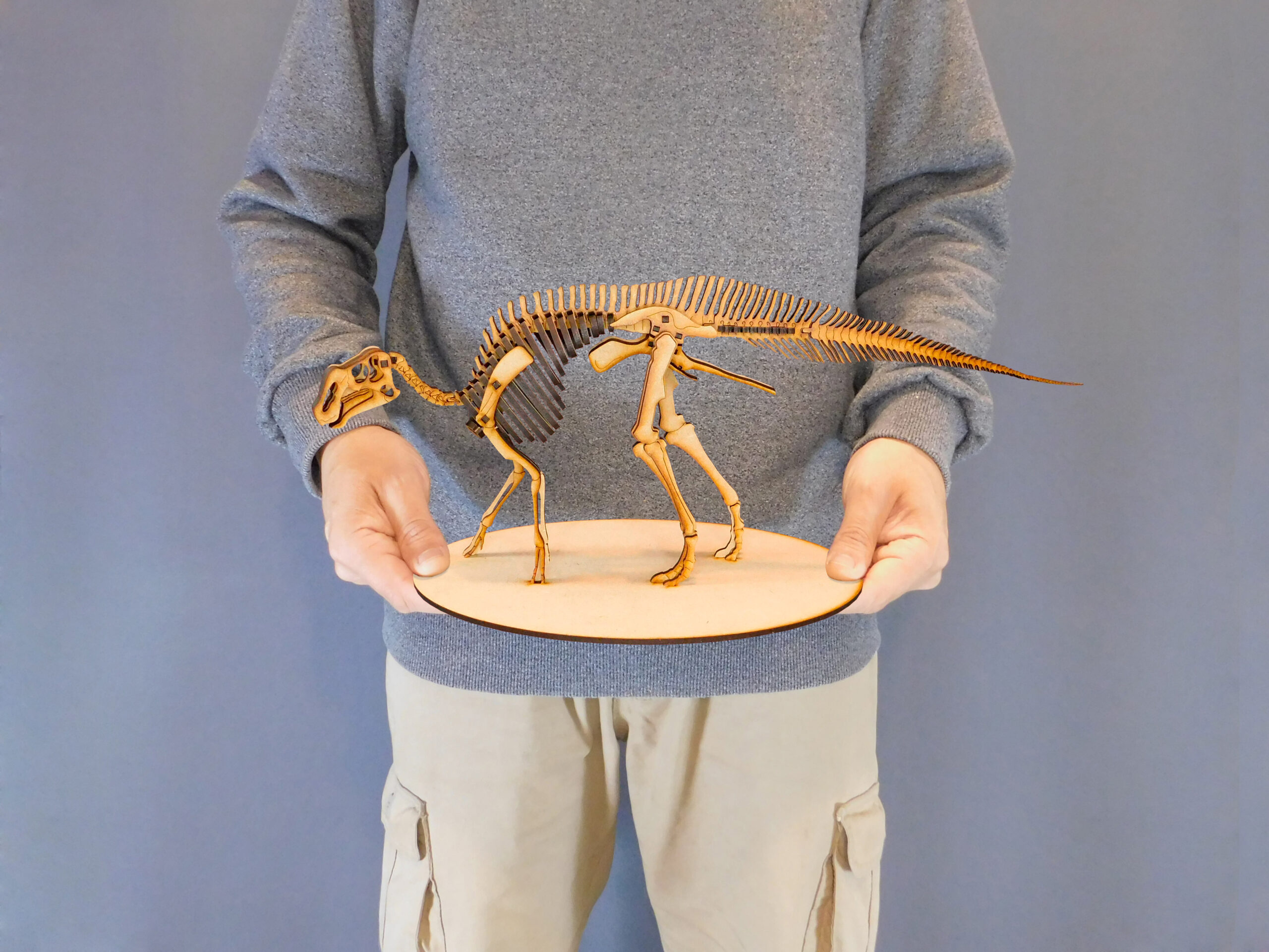 Huallasaurus australis Escala 1:15 - Imagen 6