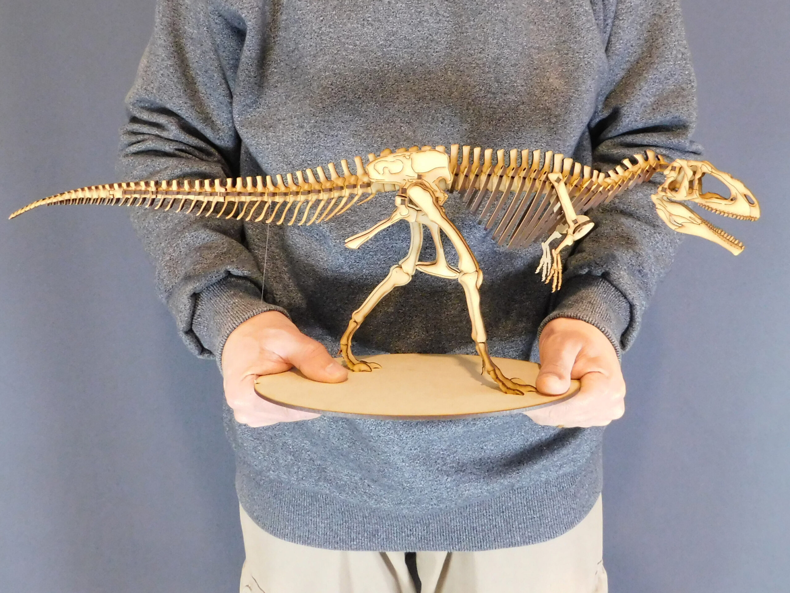 Giganotosaurus carolinii Escala 1:20 - Imagen 2