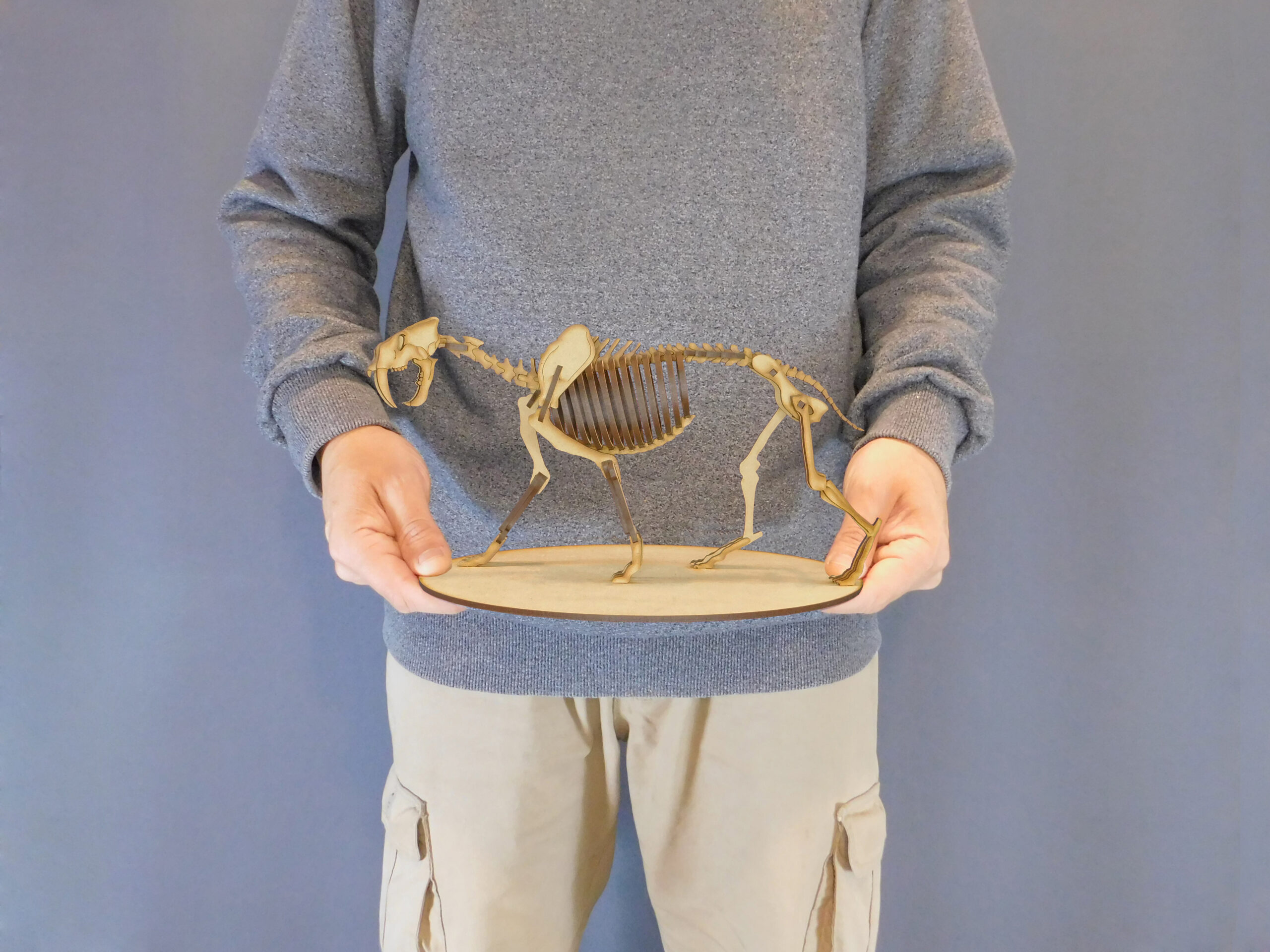 Smilodon populator Escala 1:8 - Imagen 7