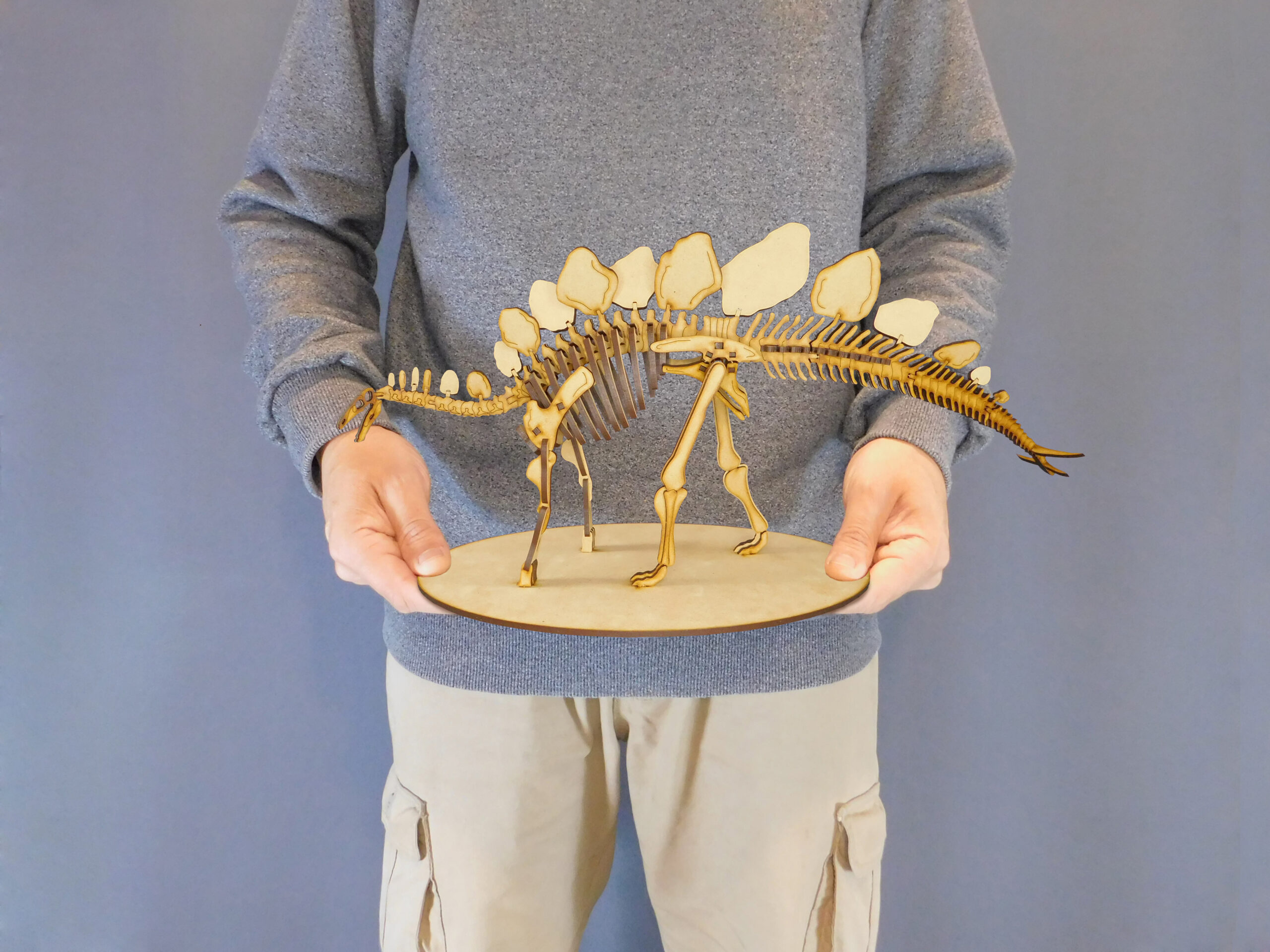 Stegosaurus ungulatus Escala 1:20 - Imagen 6