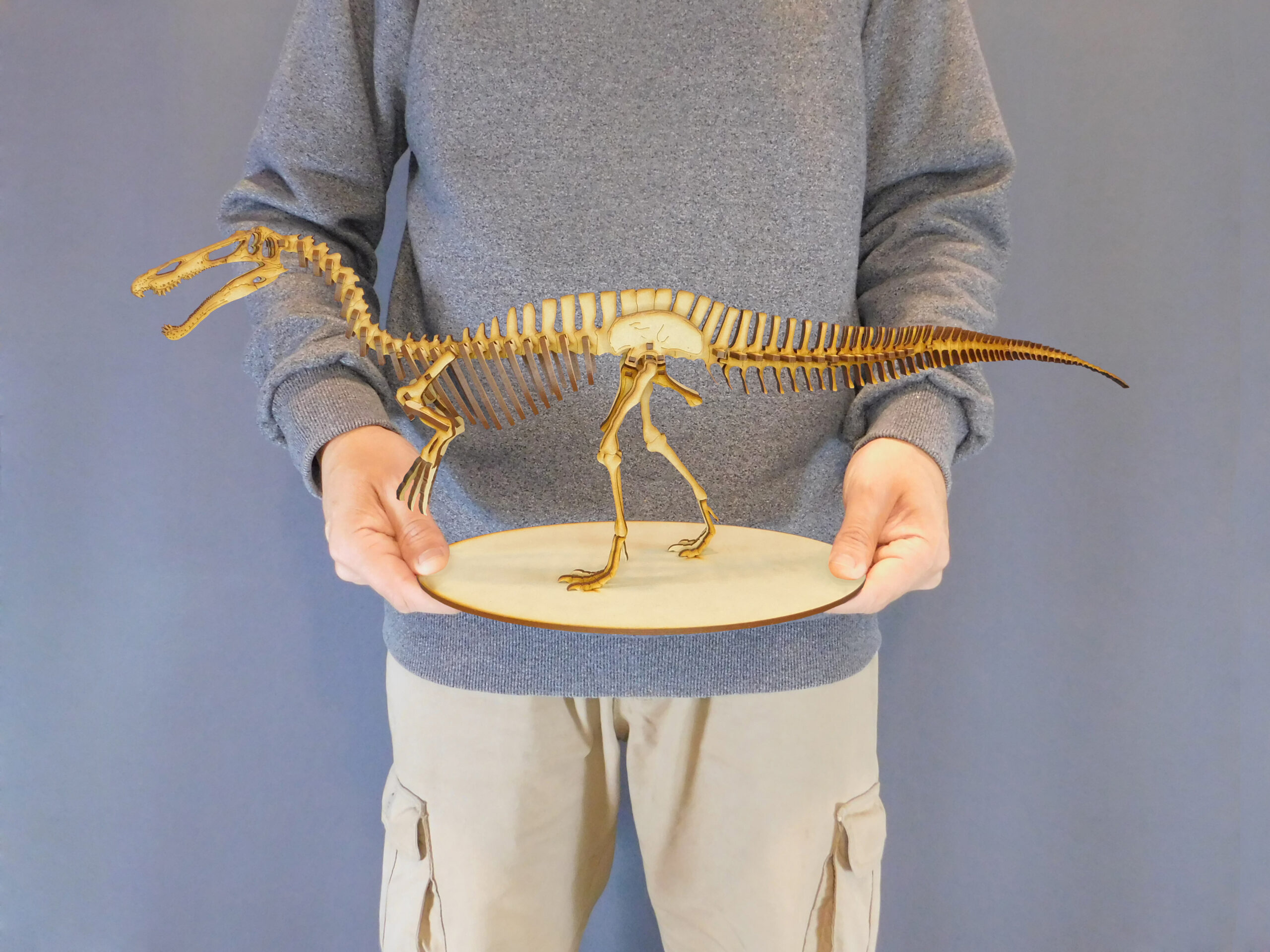 Suchomimus tenerensis Escala 1:20 - Imagen 6