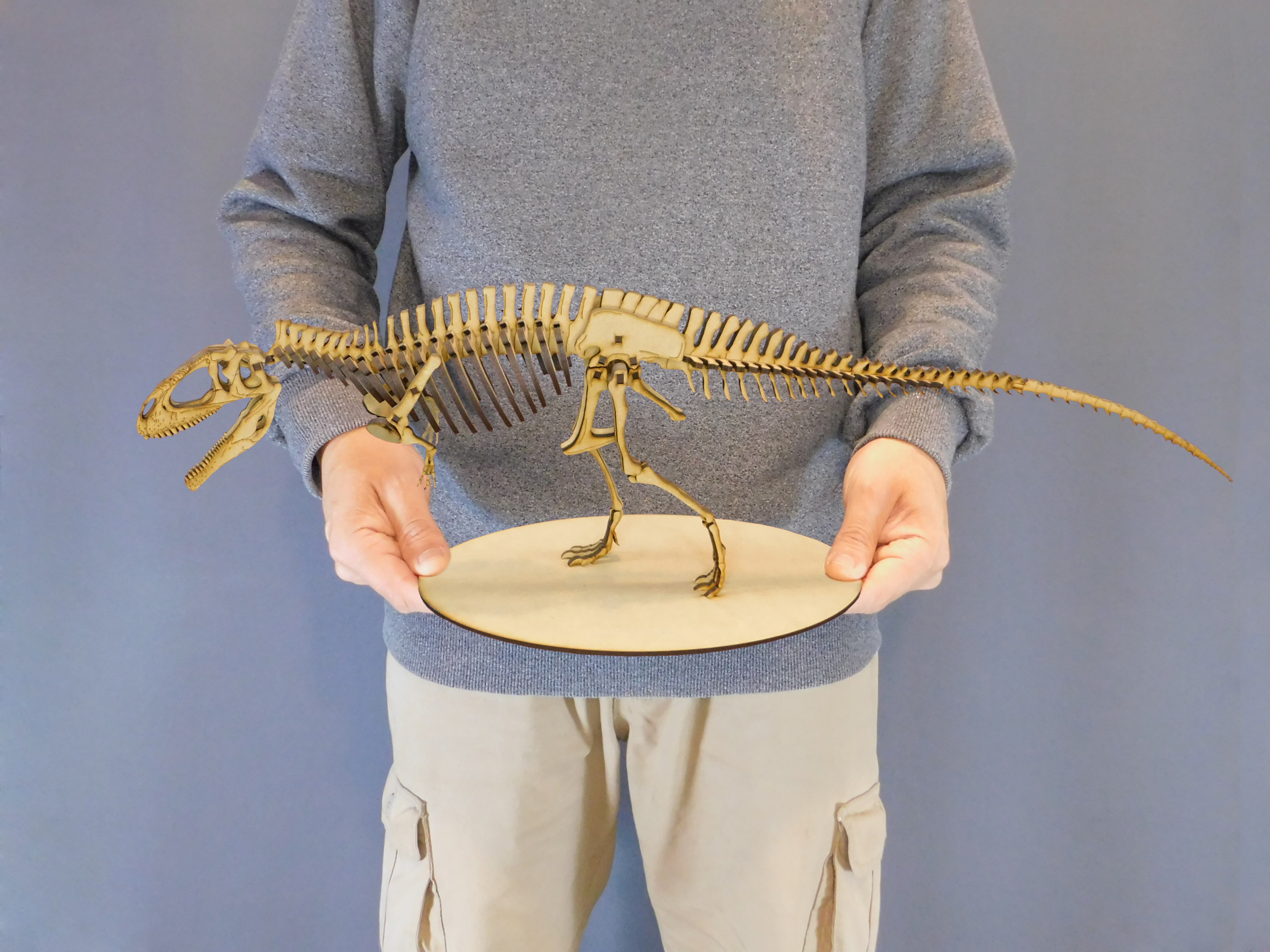 Taurovenator violantei Escala 1:20 - Imagen 6