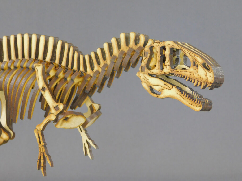 Acrocanthosaurus atokensis Escala 1:20