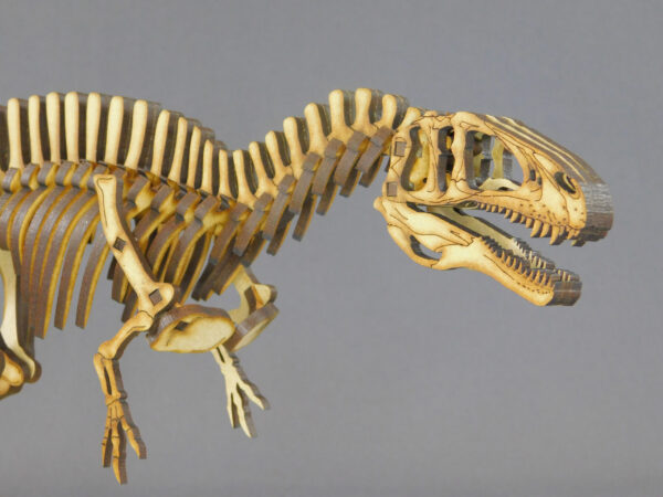Acrocanthosaurus atokensis Escala 1:20