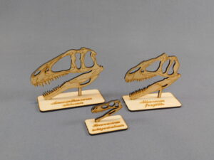 Cráneos a escala 1:10 - Plancha Nº2