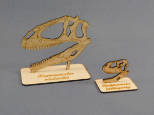 Cráneos a escala 1:10 - Plancha Nº7