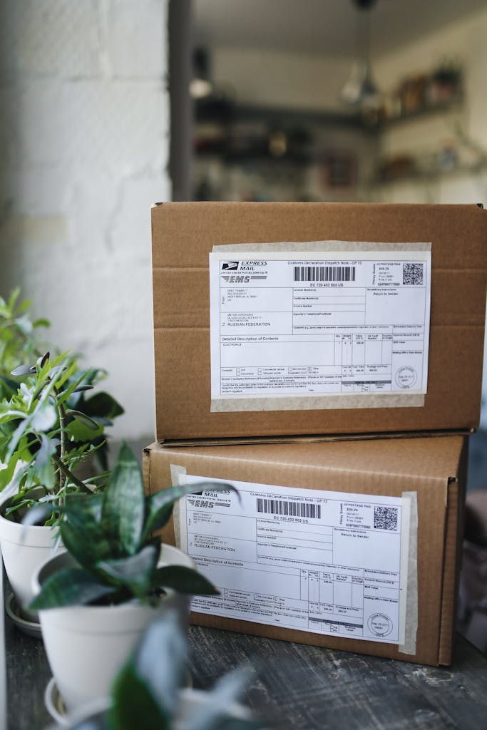 Close-up of shipping boxes with labels surrounded by houseplants indoors.
