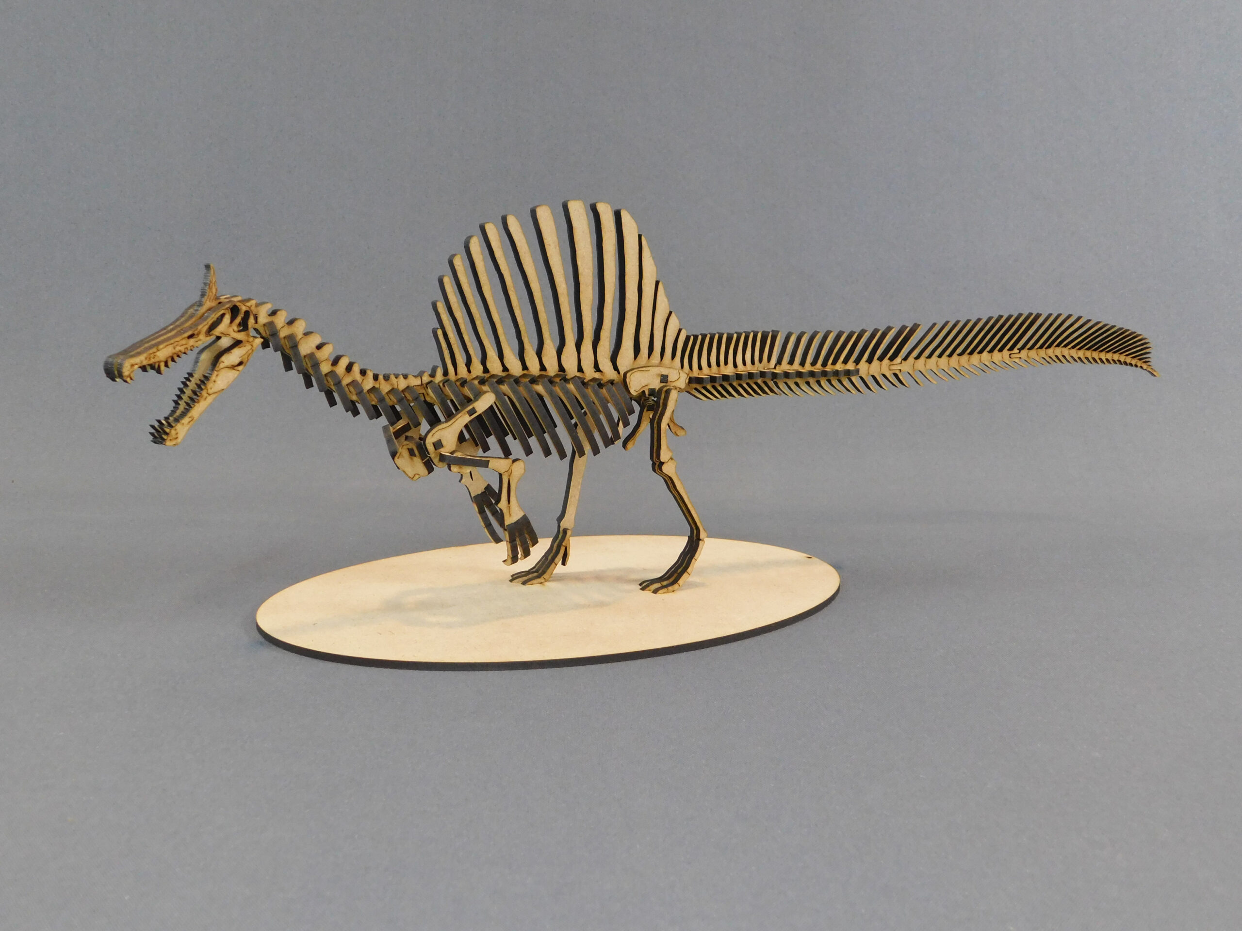 Spinosaurus mirabilis Escala 1:20 - Imagen 4