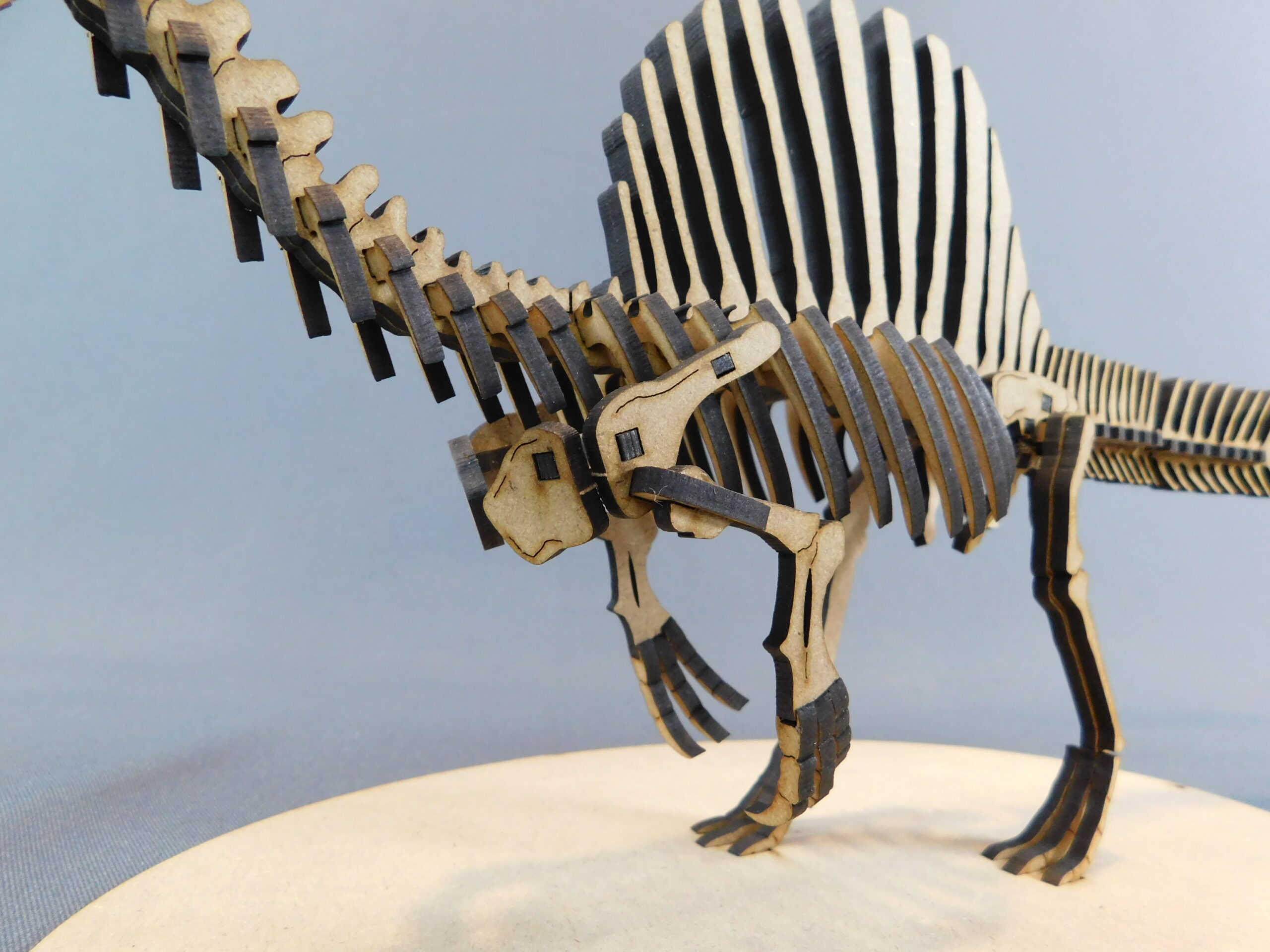 Spinosaurus mirabilis Escala 1:20 - Imagen 5