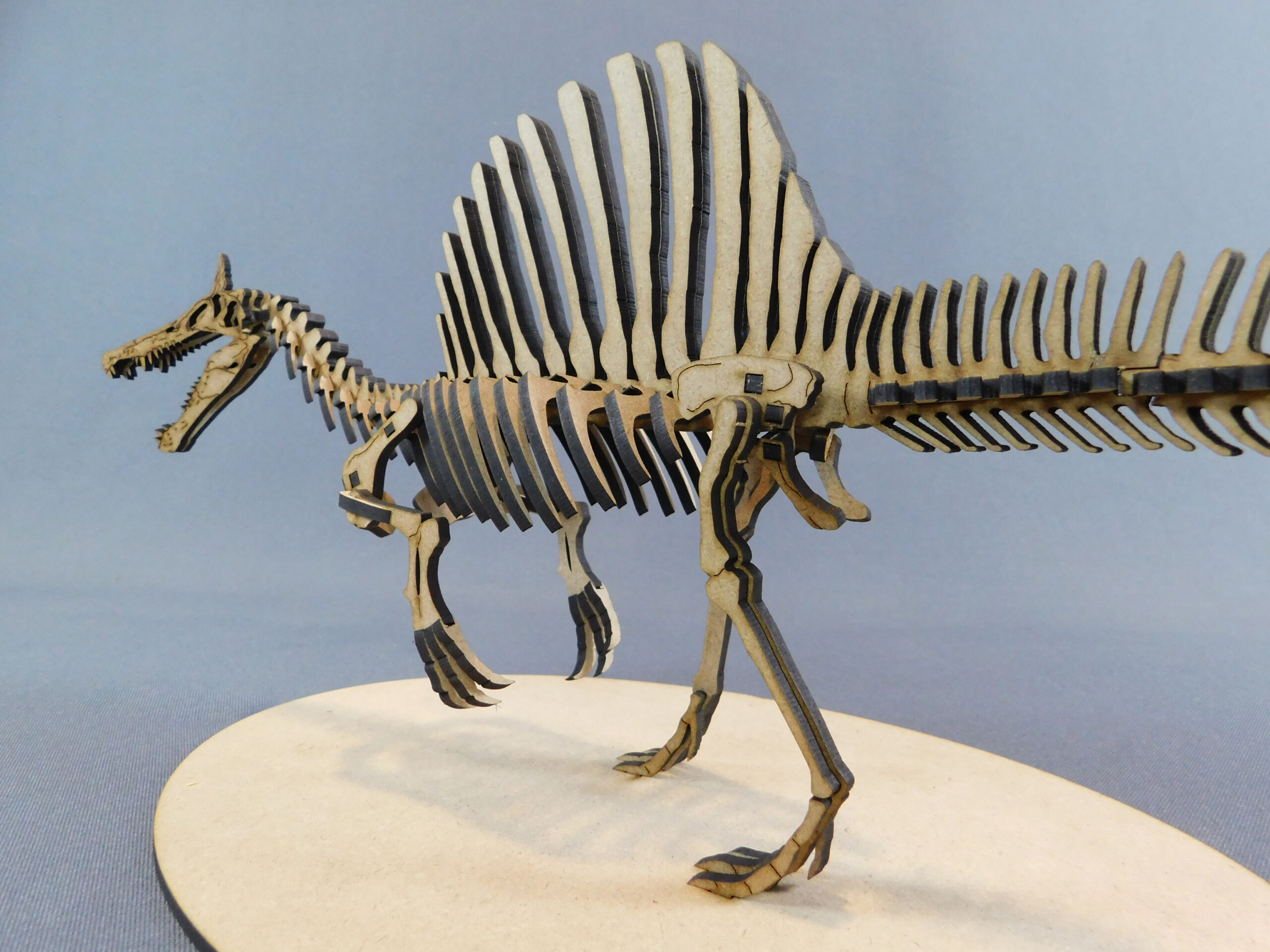 Spinosaurus mirabilis Escala 1:20 - Imagen 6