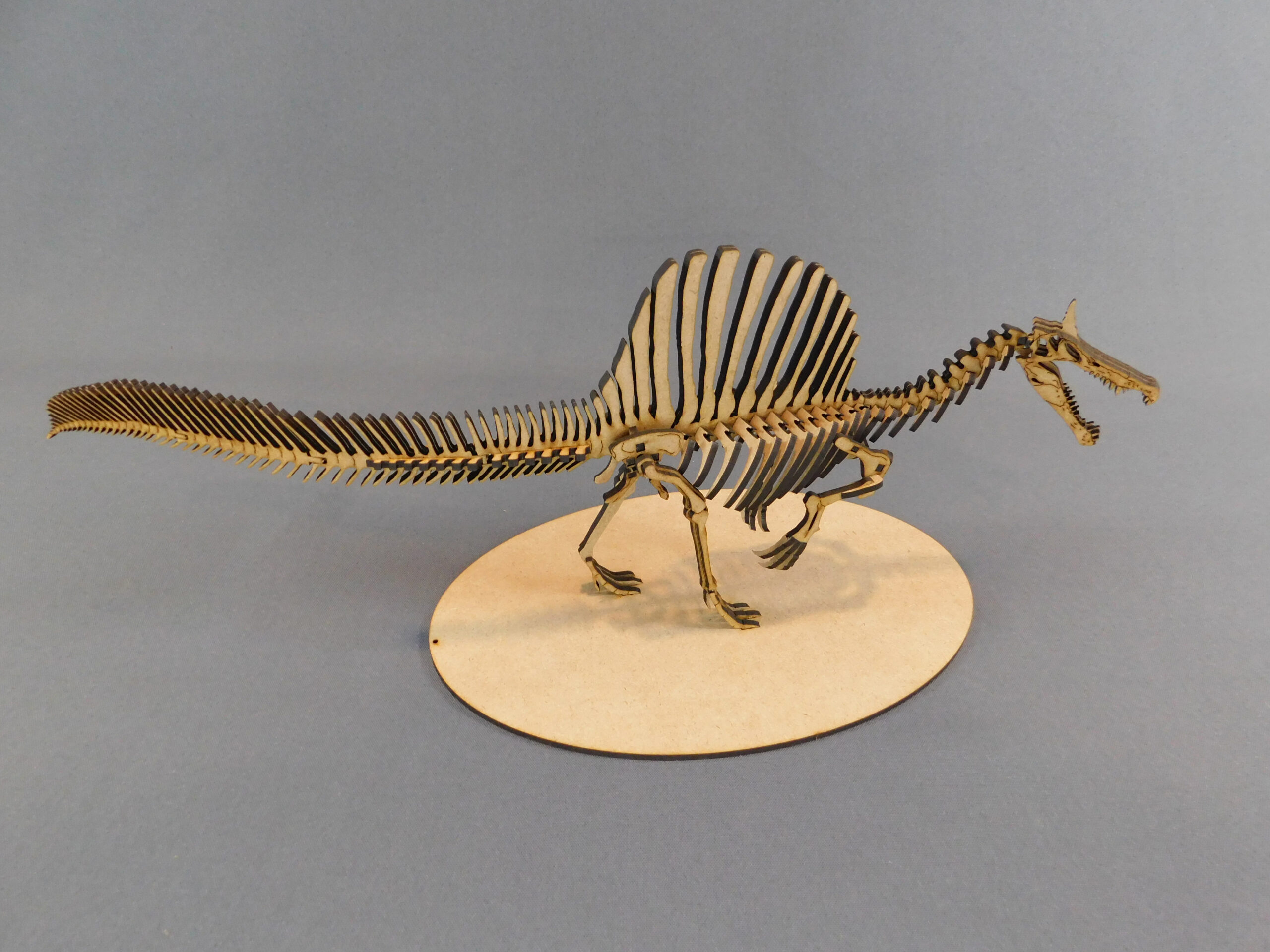 Spinosaurus mirabilis Escala 1:20 - Imagen 8