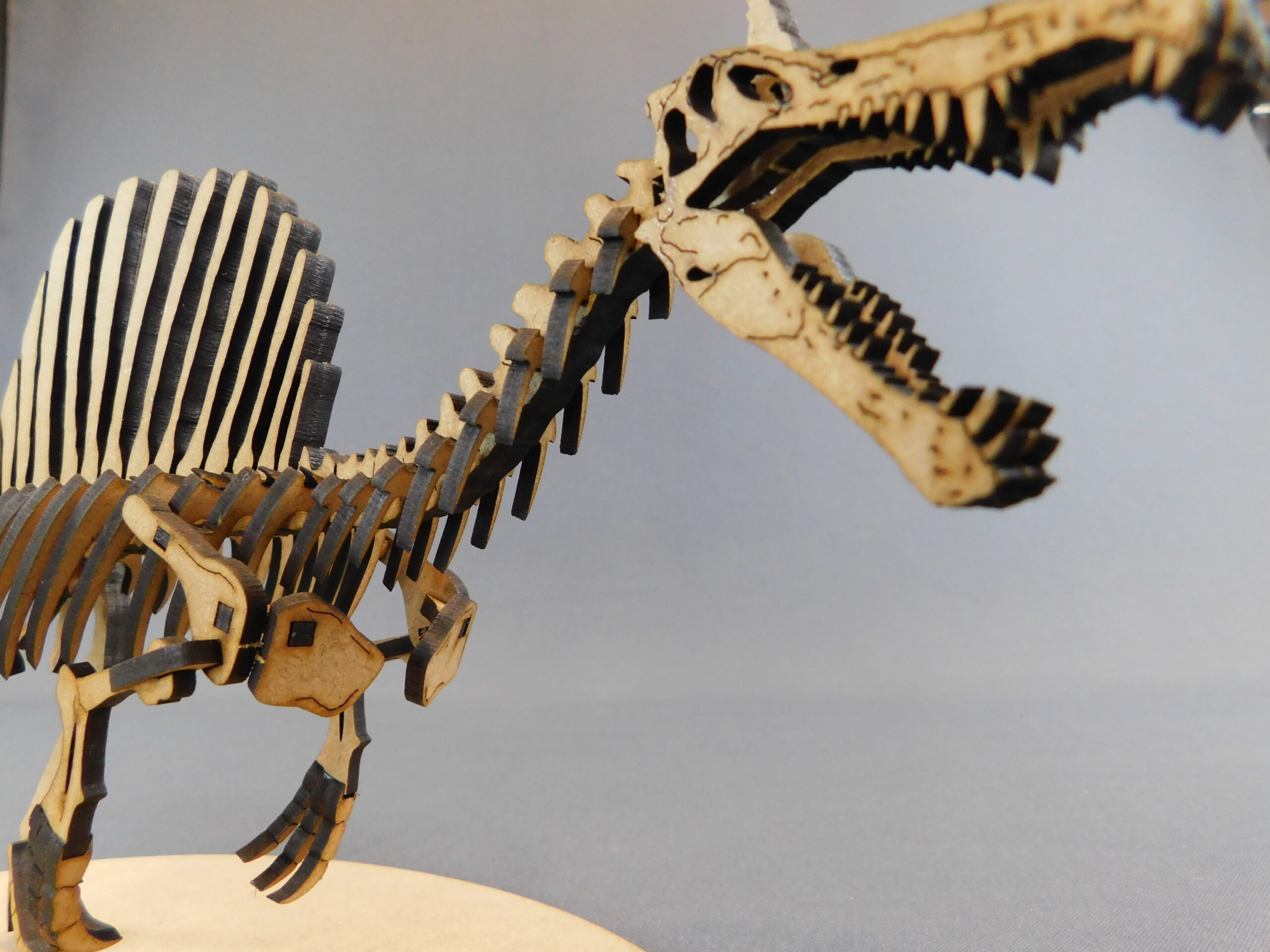 Spinosaurus mirabilis Escala 1:20 - Imagen 9