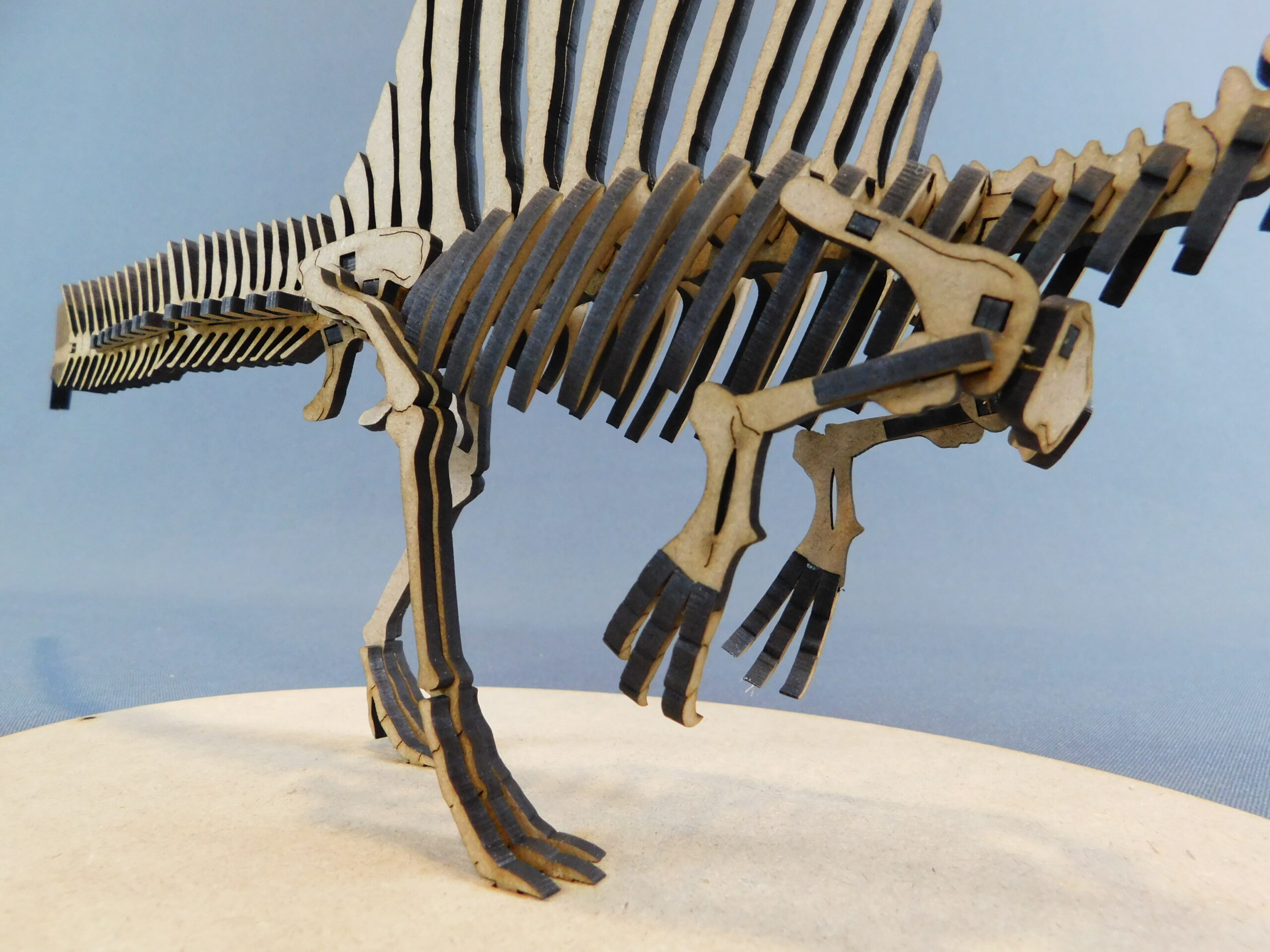 Spinosaurus mirabilis Escala 1:20 - Imagen 10