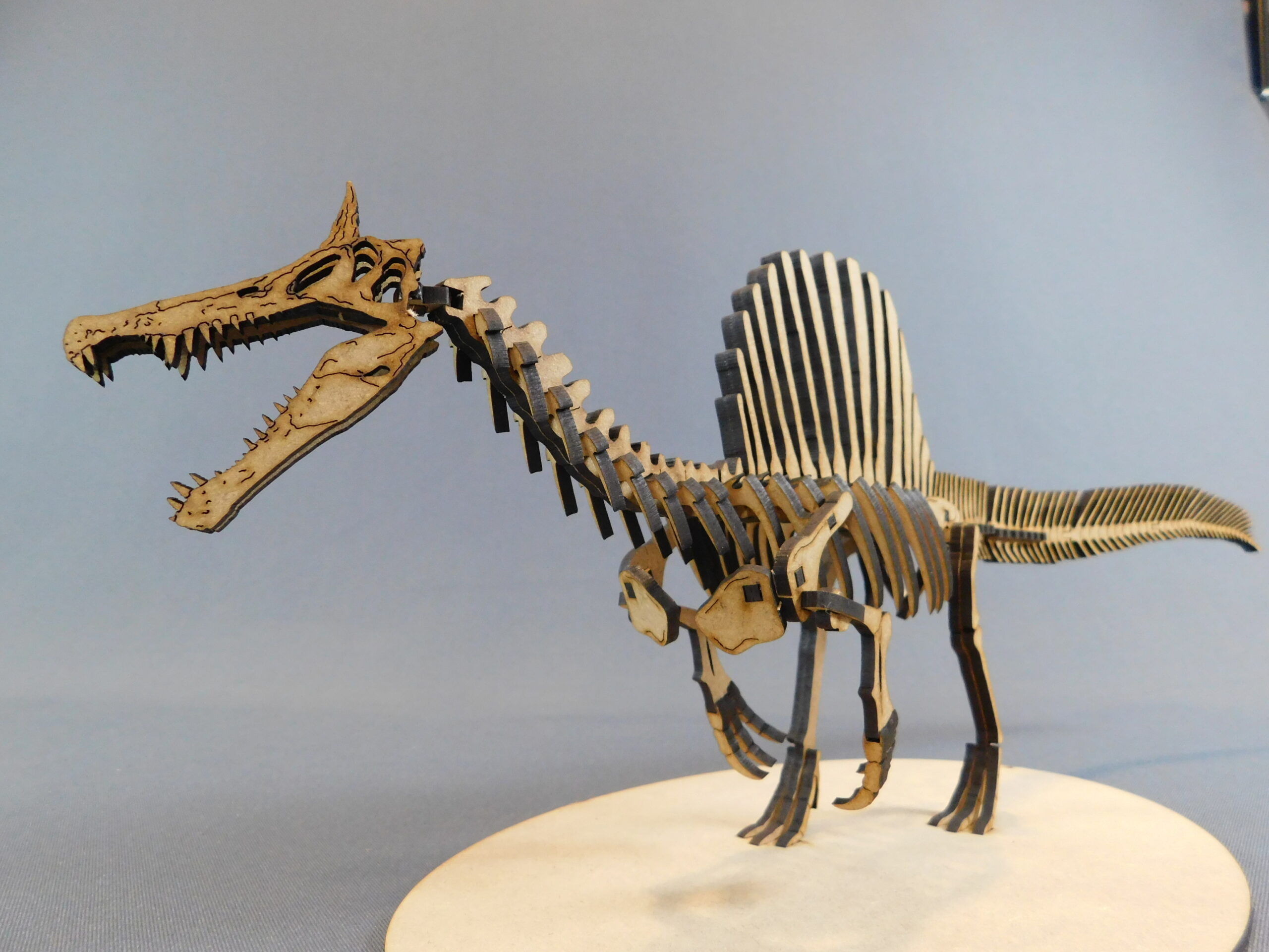 Spinosaurus mirabilis Escala 1:20 - Imagen 11