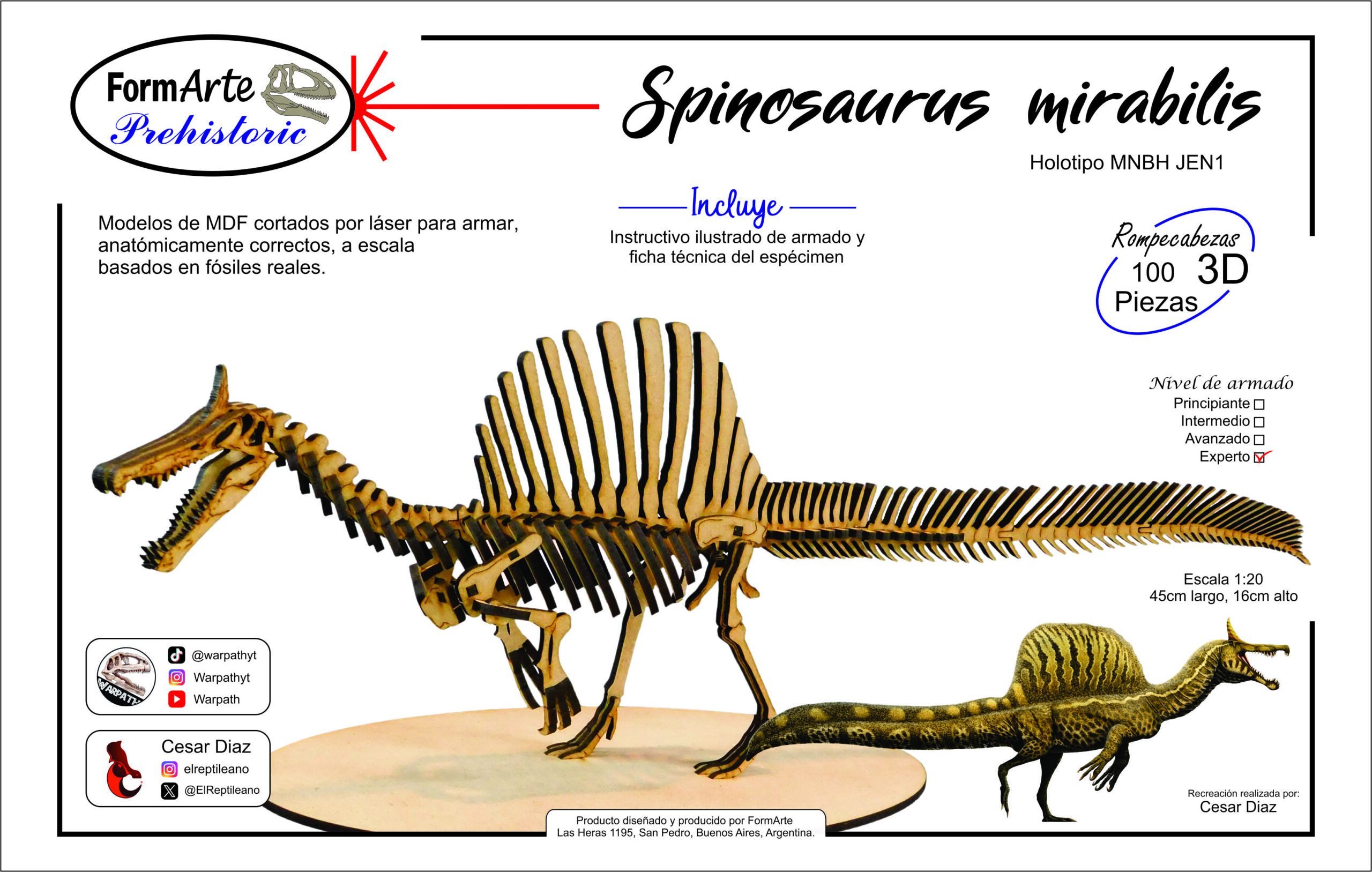 Spinosaurus mirabilis Escala 1:20 - Imagen 12