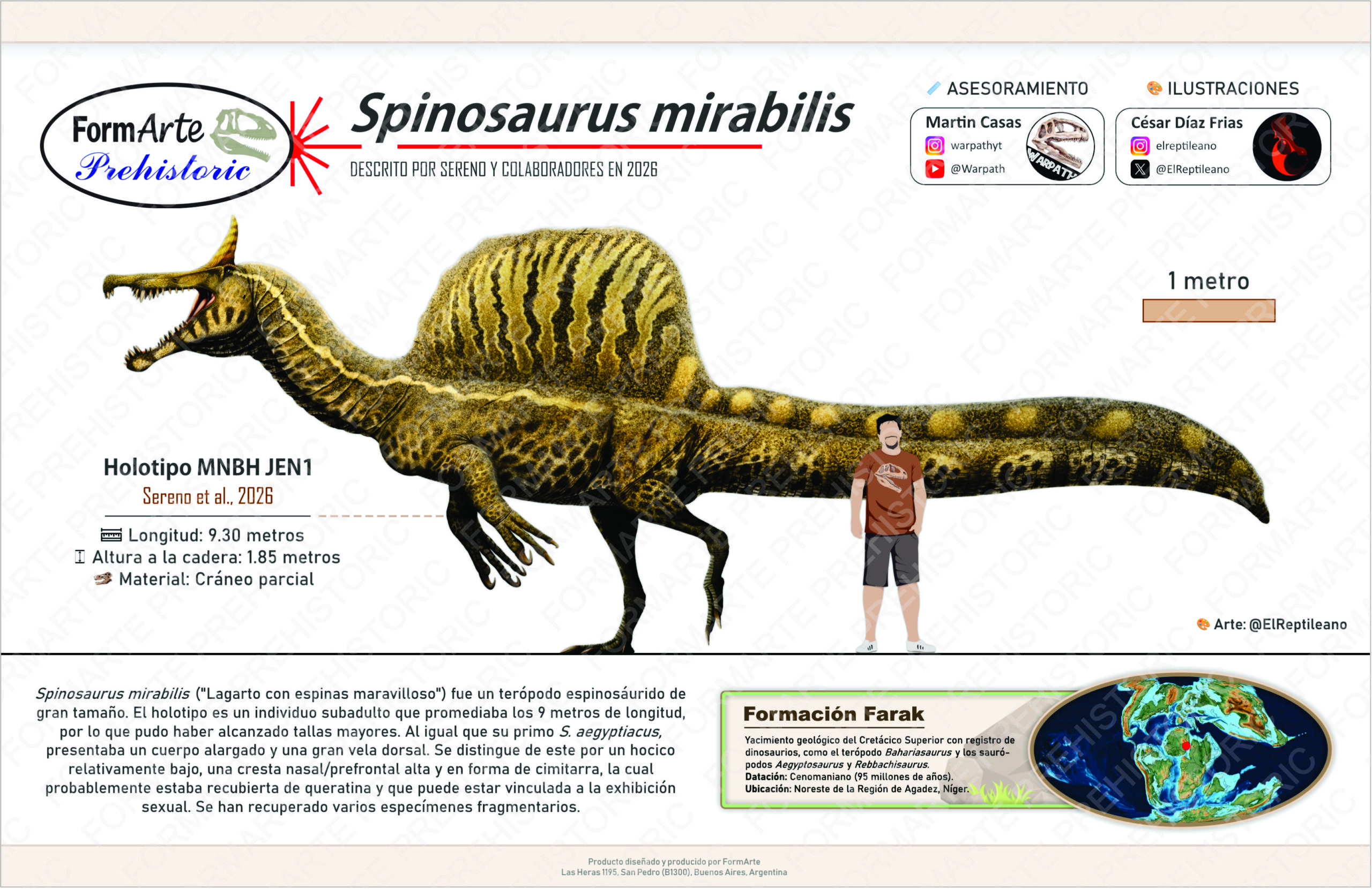 Spinosaurus mirabilis Escala 1:20 - Imagen 14